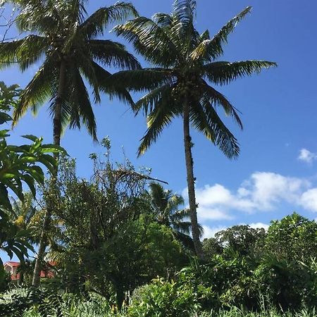 Logement En Pleine Verdure Tropicale -10 Min Plage Le Morne-Rouge Екстер'єр фото