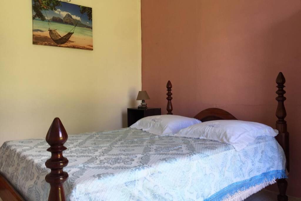 Logement En Pleine Verdure Tropicale -10 Min Plage Le Morne-Rouge Екстер'єр фото