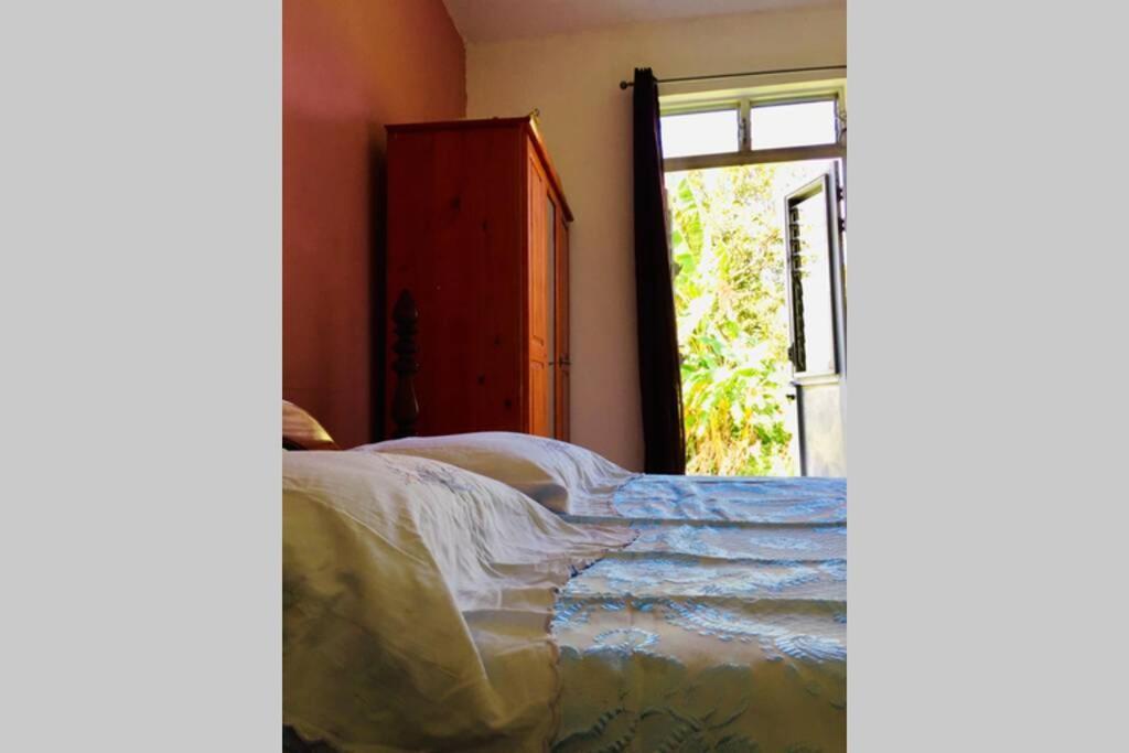 Logement En Pleine Verdure Tropicale -10 Min Plage Le Morne-Rouge Екстер'єр фото