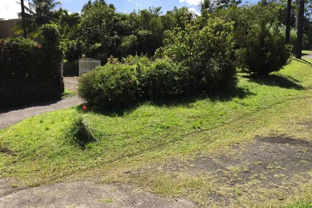 Logement En Pleine Verdure Tropicale -10 Min Plage Le Morne-Rouge Екстер'єр фото